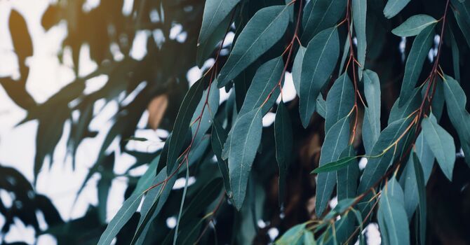 Injectables, Skincare, or Both? A Glow-Up Timeline for Every Age image